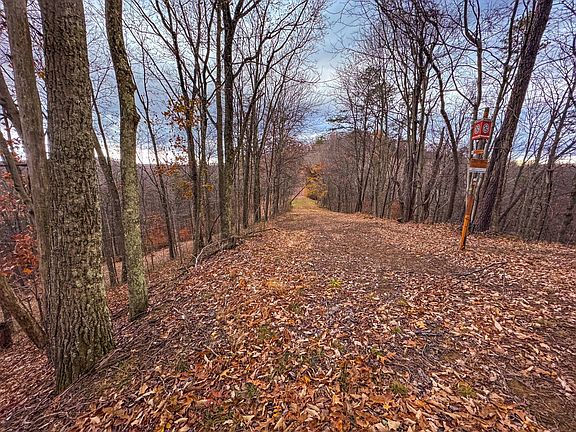 36th image of this home