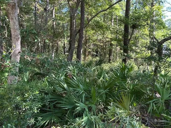 712 Indian Pl, Dauphin Island, AL 36528