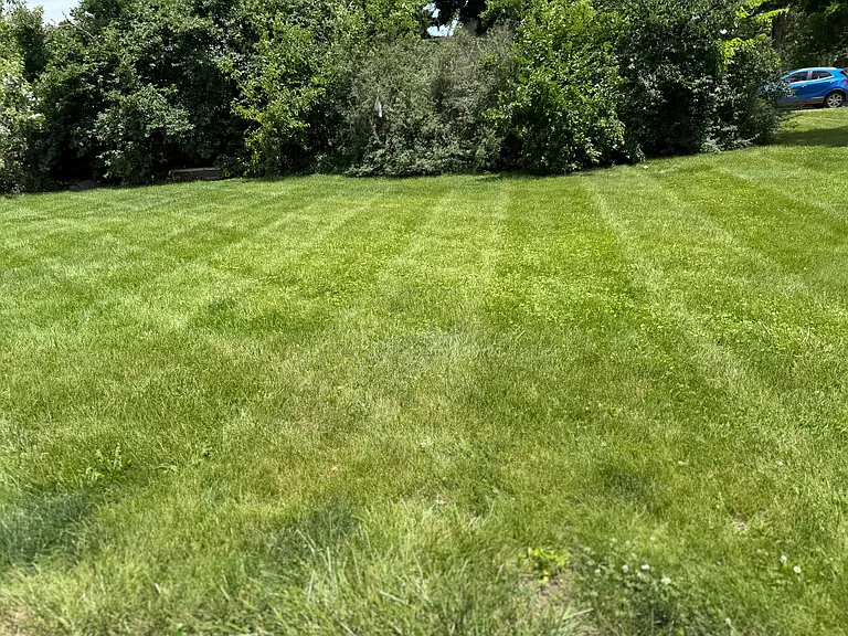 5113 Lindbergh Blvd — Photo 3