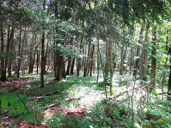 5th image of LOT 7 Blue Vista Dr