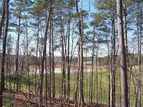 View from deck of lake