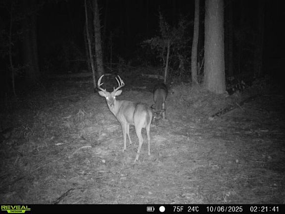 5th image of 0 E Doc Clark Rd