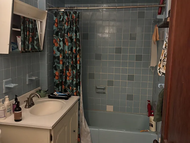 35 Minnesota Ave #2 — Photo 7