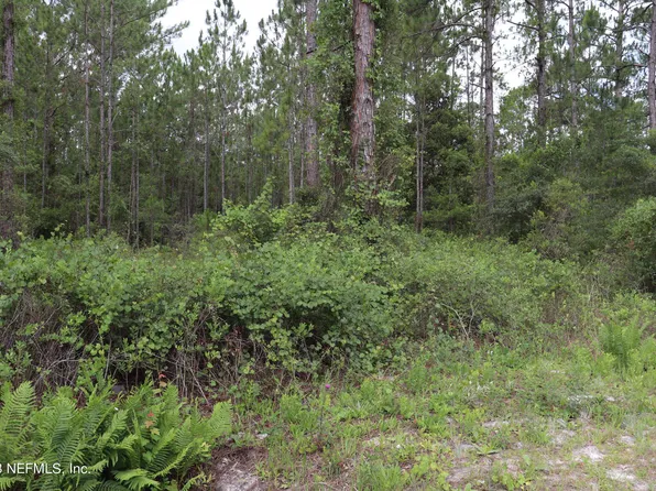 0 IBIS Lane, Georgetown, FL 32112