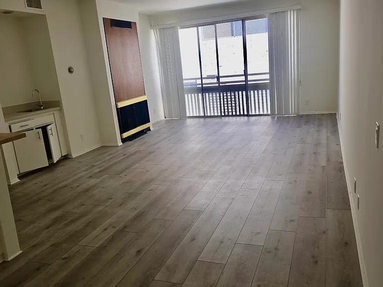 Apartment #206 Living Room