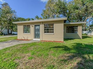311 SW 1st Ave, Lutz, FL 33548