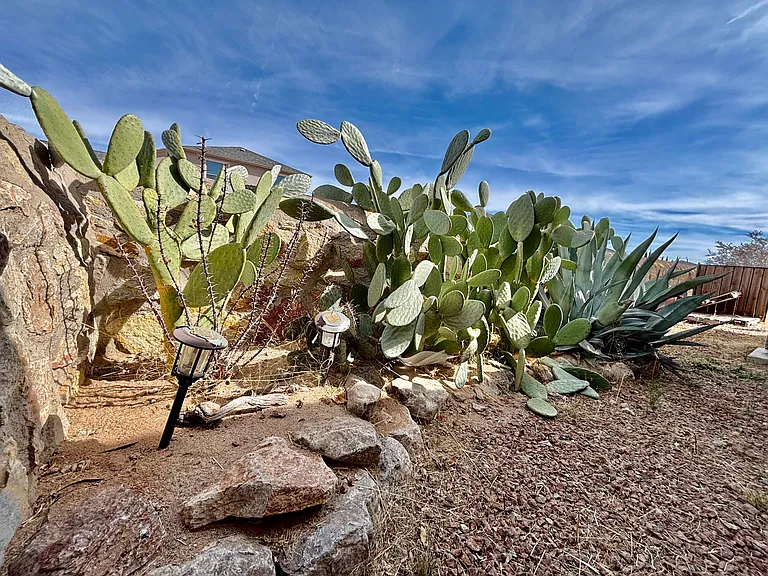 5810 Redstone Mesa Ct — Photo 19