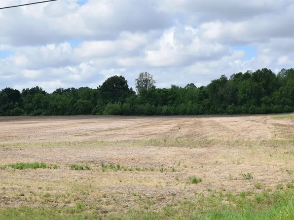 0 Nance Rd, Alamo, TN 38001