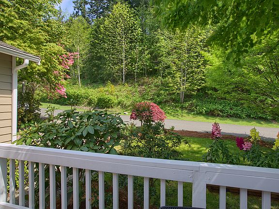 View from front patio