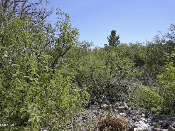 N Gladiola Ave, Douglas, AZ 85607