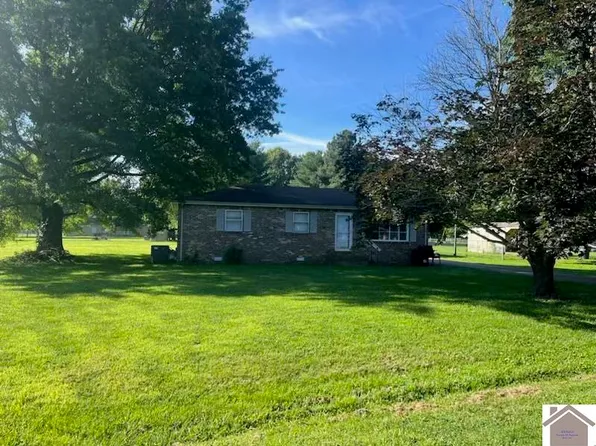 125 Peck Ct, Ledbetter, KY 42058