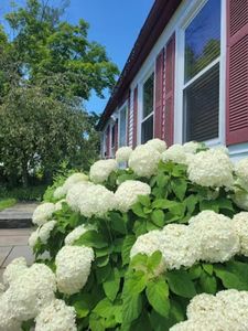 18 dover Street, S Burlington, VT, 05403