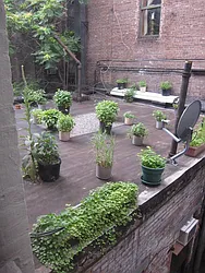 Rented by Village Living Realty