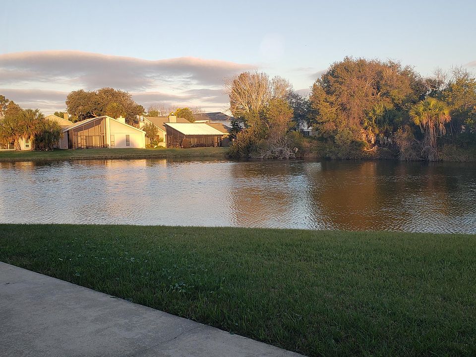 View of back yard sanctuary from Living Room