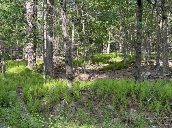 132 S Ridge Dr, Gouldsboro, PA 18424