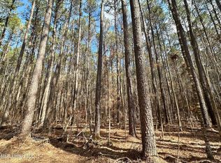 6 Cutoff Rd, Carthage, MS 39051