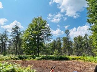 V/l 8 Mile Rd, Hesperia, MI 49421