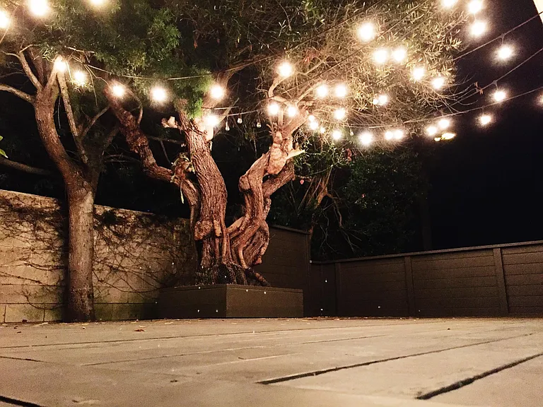 2848 Chillon Way — Photo 9