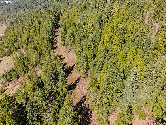 5th image of 14536 Little River Rd