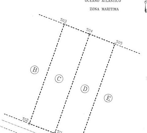 5th image of Guayabo #C