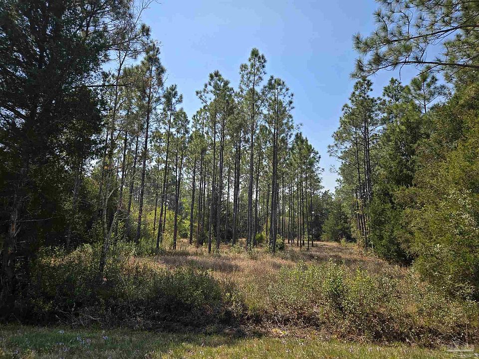 1st image of 6641 Delhi Dr