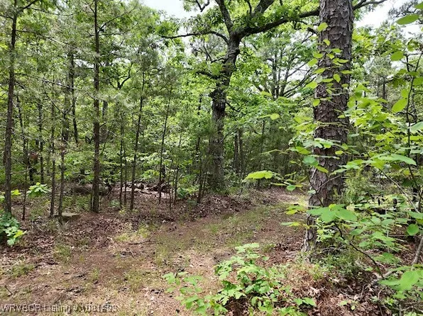 TRACT One K Trl, Talihina, OK 74571