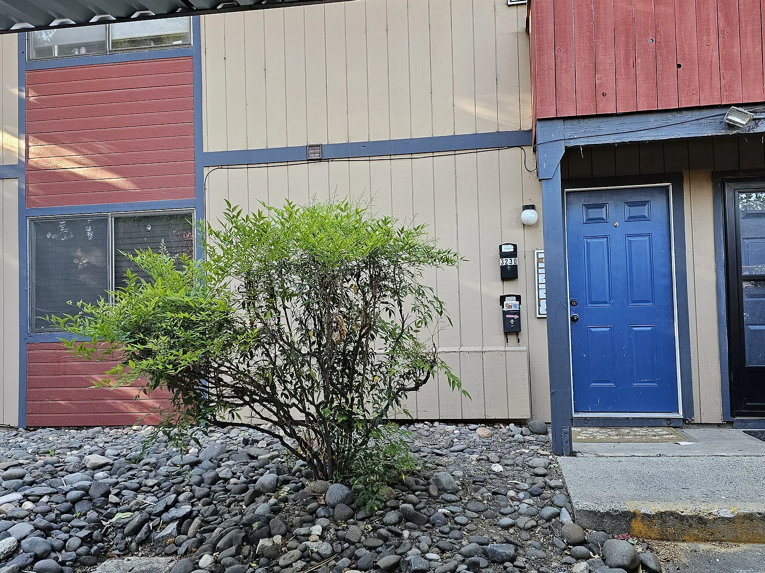 3228 Bristle Branch Dr — Photo 1