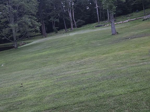 5th image of 536 Bethel Hill Rd