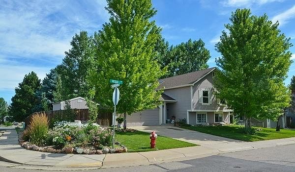 front yard