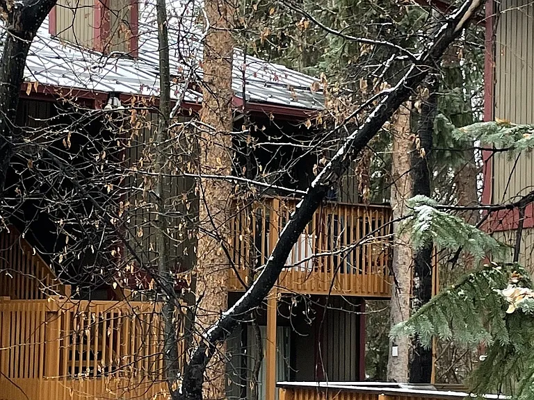 View of condo from parking lot.