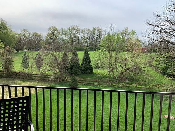 The view