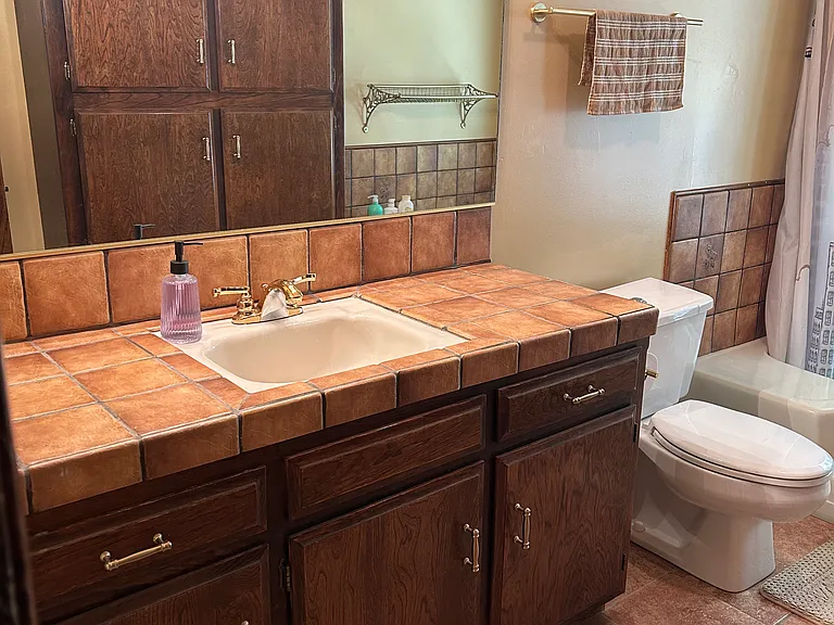 Second bathroom with all the amenities.