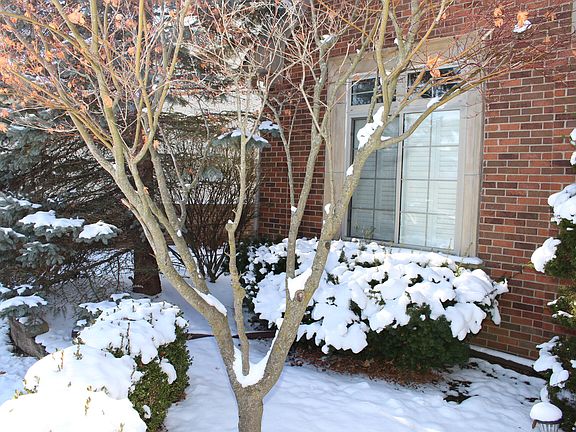 5th image of 12361 Spenser Ln