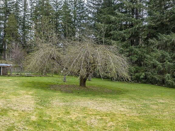 3rd image of 50156 Myrtle Creek Rd