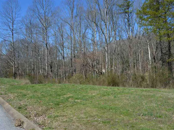 Lots 1& 2 County Rd #321, Niota, TN 37826