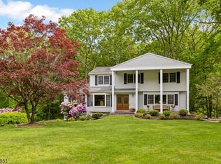 9 Winay Ter, Long Valley, NJ 07853
