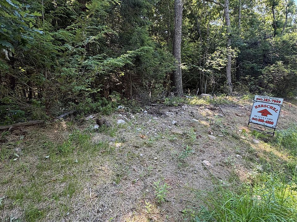 2nd image of County Route 56