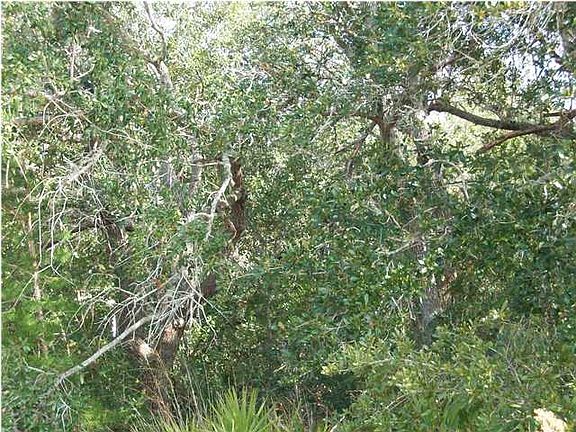 5th image of 2006 Vizcaya Dr