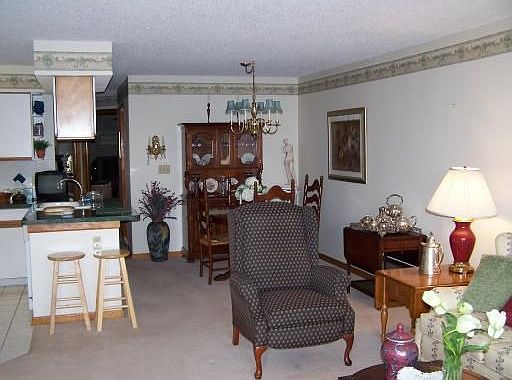 Dining/Living/kitchen