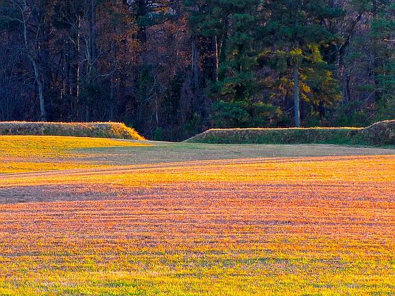 The Battlefields late pm