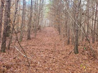 18.22 Talona Rd, Ellijay, GA 30540