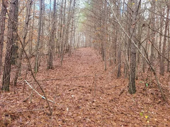 18.22 Talona Rd, Ellijay, GA 30540