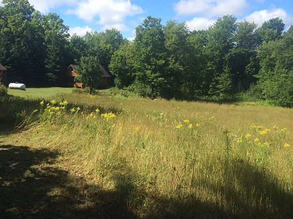 food plot & camp from drive