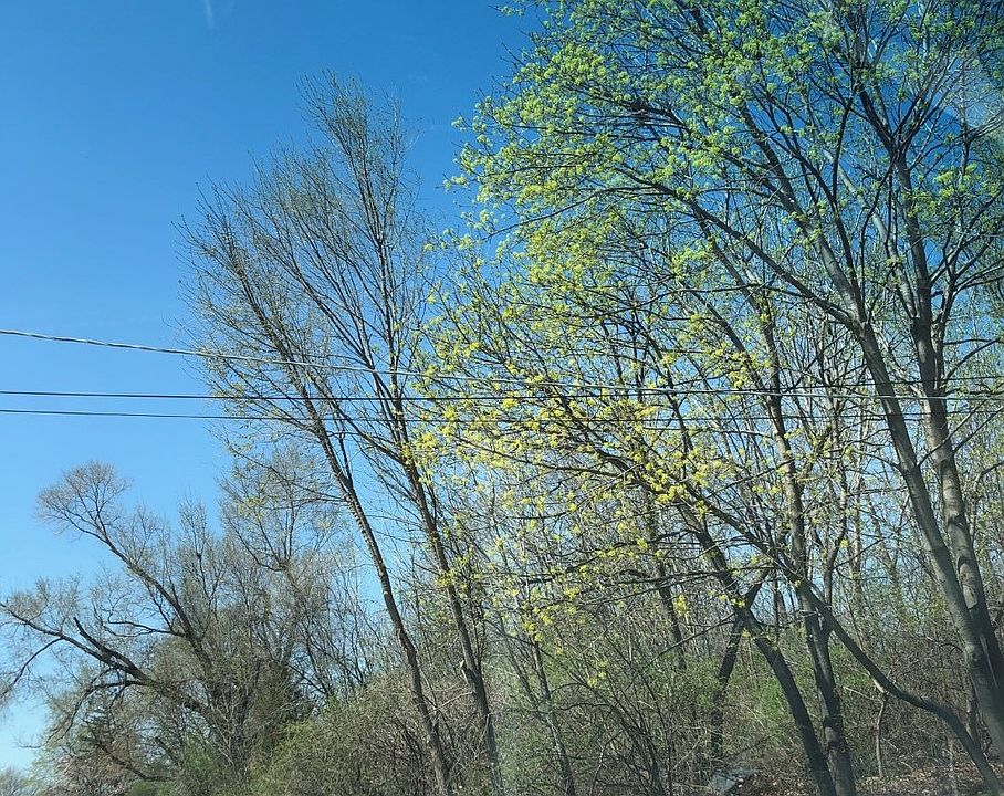 1st image of 12564 W Blossom Ave