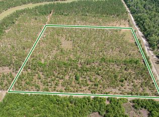 197th Pl, Live Oak, FL 32060
