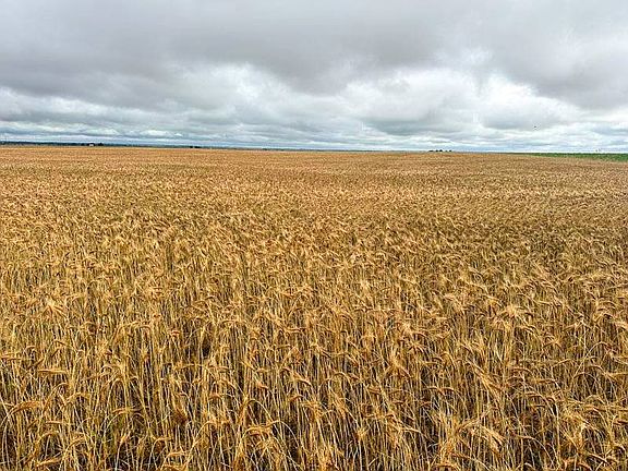 4th image of Drummond Area