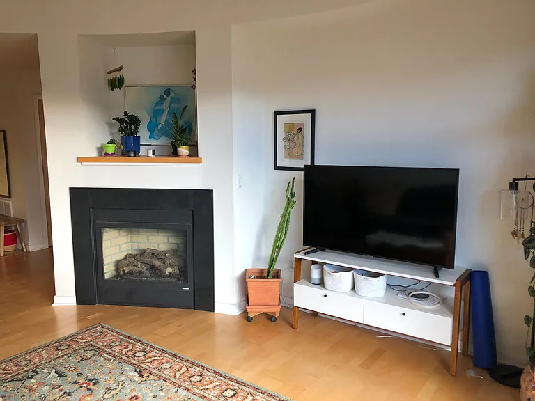 Gas fireplace