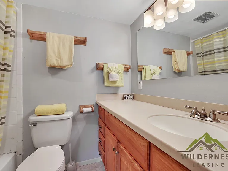 102 Salt Lick Cir #1 — Photo 8