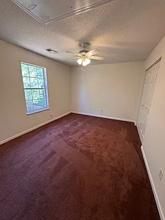 219 Pineclave Cir — Photo 6
