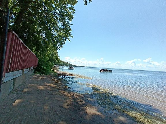4th image of 2338 Lakeshore Dr